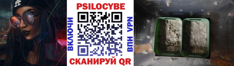 Галлюциногенные грибы прущие грибы  Фурманов 